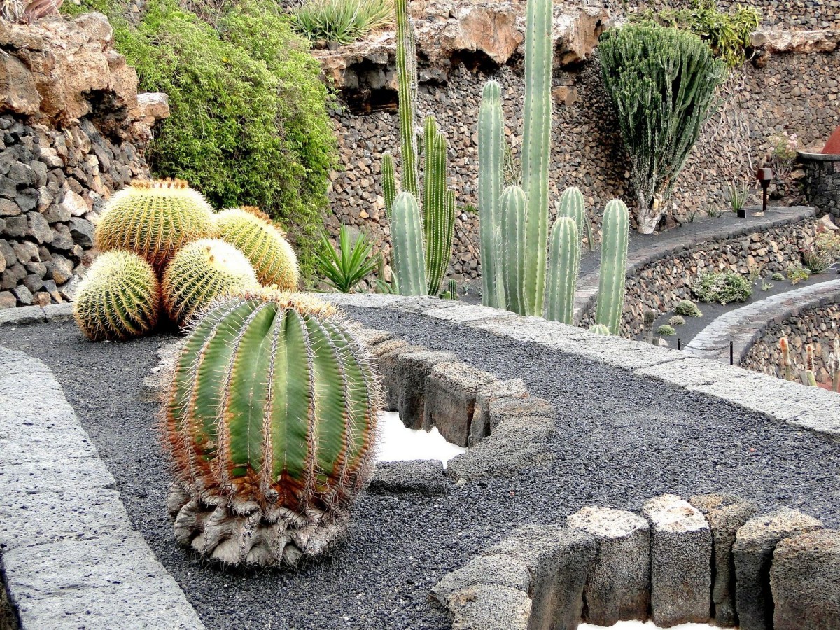 Zdjęcia: Lanzarote, Wyspy Kanaryjskie, Kanaryjskie wspomnienie - Lanzarote, HISZPANIA Zdjęcia: Lanzarote, Wyspy Kanaryjskie, Kanaryjskie wspomnienie - Lanzarote, HISZPANIA