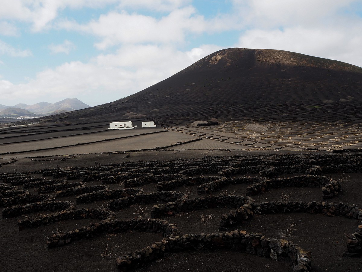 Zdjęcia: Lanzarote, Wyspy Kanaryjskie, Winnica, HISZPANIA Zdjęcia: Lanzarote, Wyspy Kanaryjskie, Winnica, HISZPANIA