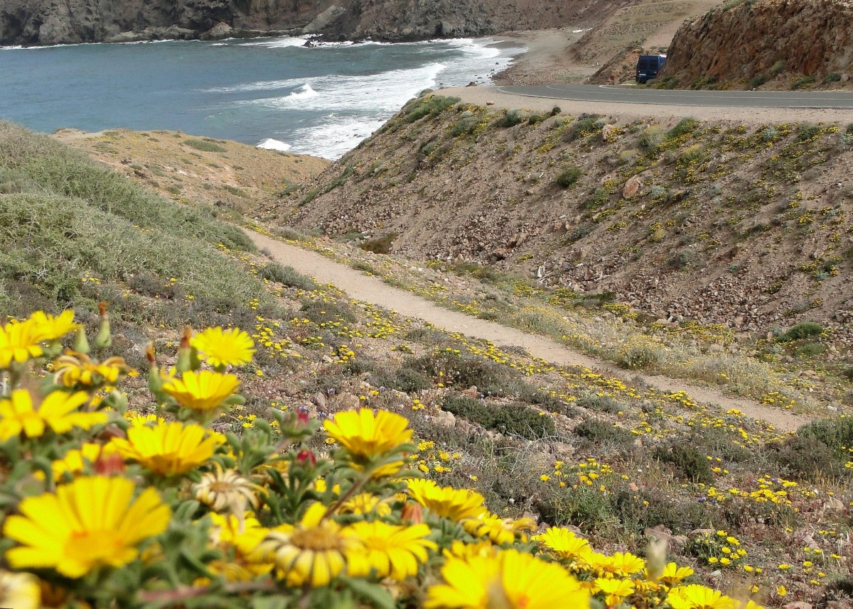 Zdjęcia: Przylądek Cabo de Gata, Andaluzja, Wiosna w Andaluzji., HISZPANIA Zdjęcia: Przylądek Cabo de Gata, Andaluzja, Wiosna w Andaluzji., HISZPANIA