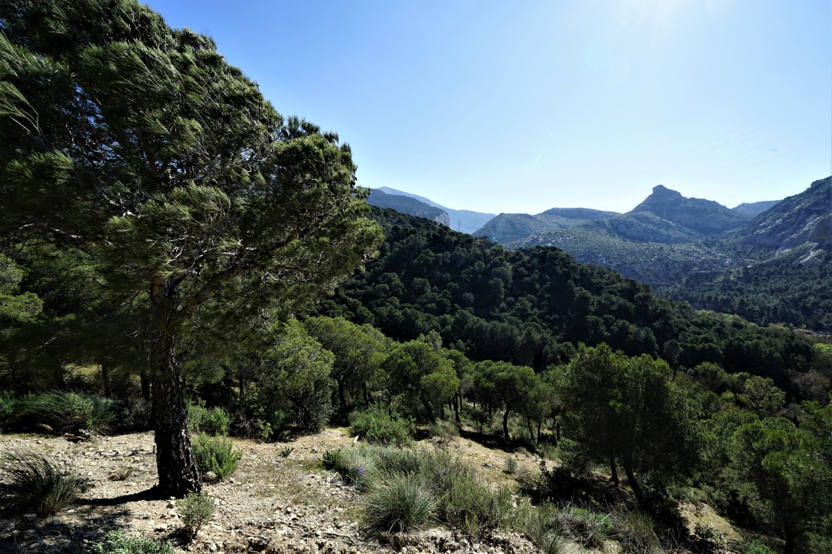 Zdjęcia: Caminito del Rey, Andaluzja, Po drodze, HISZPANIA Zdjęcia: Caminito del Rey, Andaluzja, Po drodze, HISZPANIA