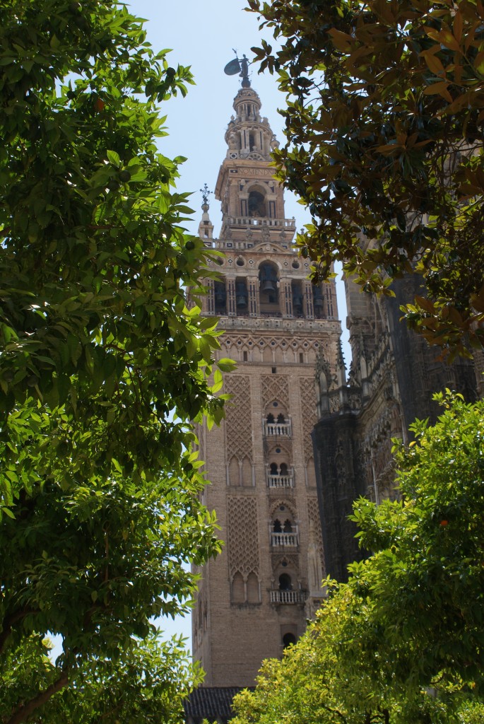 Zdjęcia: HISZPANIA, EUROPA, HISZPANIA SEVILLA , HISZPANIA Zdjęcia: HISZPANIA, EUROPA, HISZPANIA SEVILLA , HISZPANIA