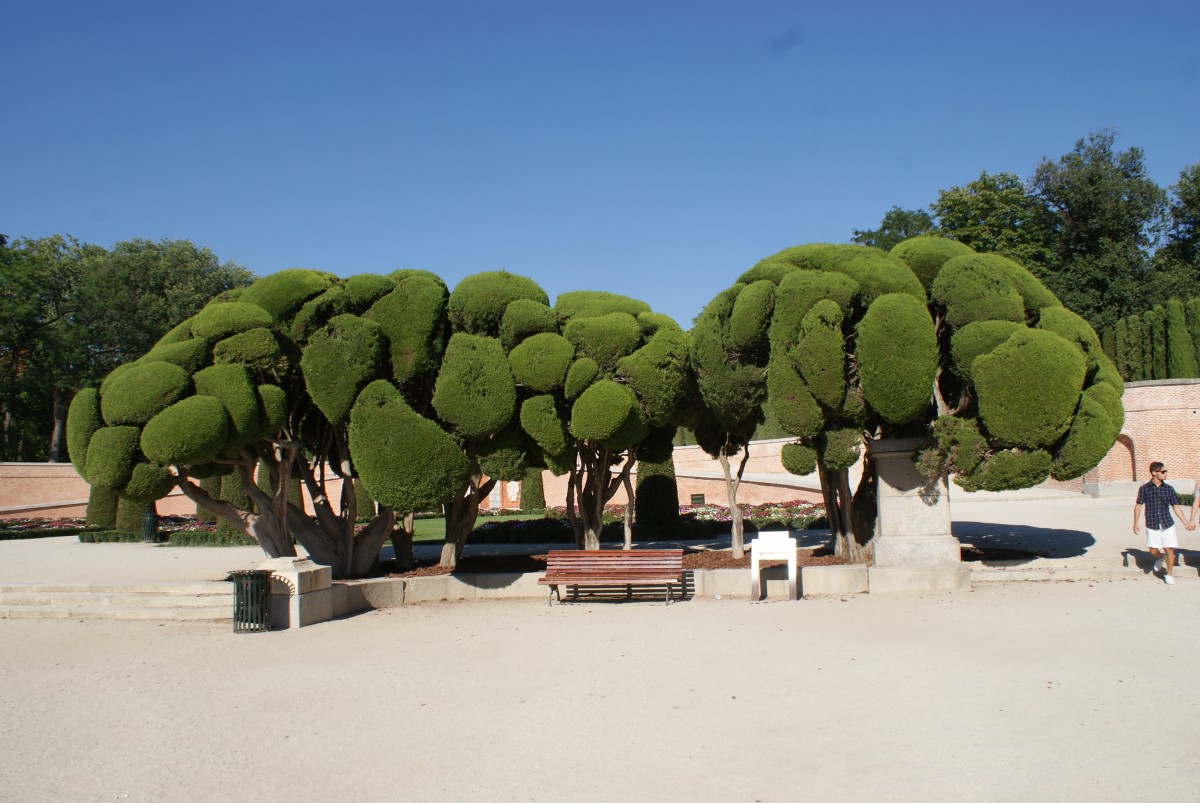 Zdjęcia: HISZPANIA, EUROPA, MADRYT PARK RETIRO, HISZPANIA Zdjęcia: HISZPANIA, EUROPA, MADRYT PARK RETIRO, HISZPANIA