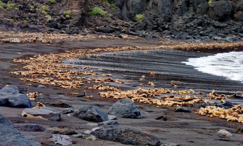 Zdjcie HISZPANIA / Teneryfa / Chamborga / Plaa wulkaniczna 