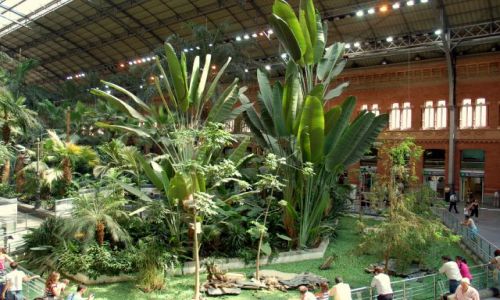 Zdjęcie HISZPANIA / Madryt / Estacion de Atocha, Plaza del Emperador Carlos V / Atocha.
