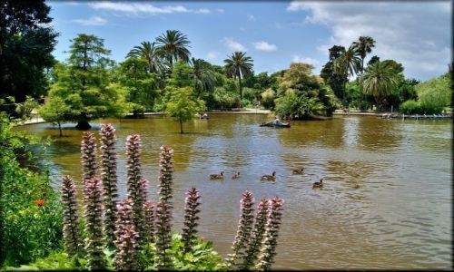 Zdjecie HISZPANIA / Katalonia / Parc de la Ciutadella  / Sielsko w Parku de la Ciutadella