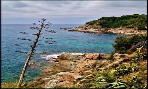 Zdjecie HISZPANIA / Katalonia / Lloret de Mar / W Lloret de Mar