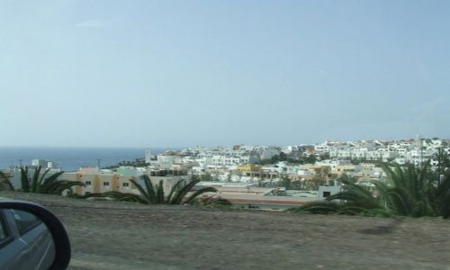 Zdjęcie HISZPANIA / Fuerteventura / Marabu / Marabu