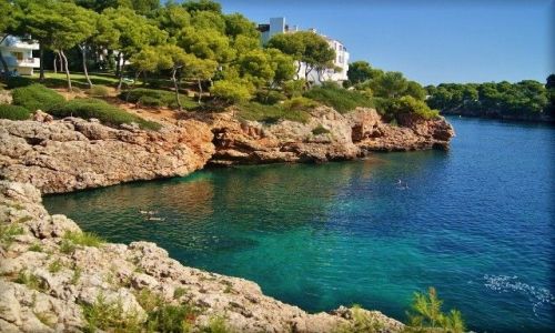 Zdjecie HISZPANIA / Majorka / Cala d'Or / Wybrzea - Cala d,Or