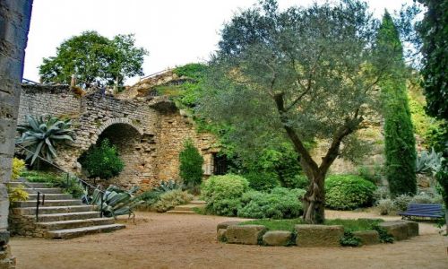 Zdjęcie HISZPANIA / Katalonia / Girona / Ogród katedralny w Gironie