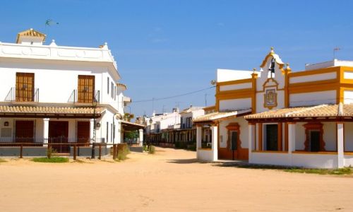 Zdjecie HISZPANIA / Andaluzja / El Rocio / El Rocio, dziki zachd