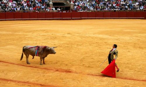 Zdjecie HISZPANIA / Andaluzja / Sevilla / Corrida de Toros