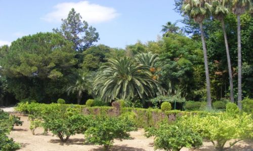 Zdjęcie HISZPANIA / Valencia / Ontenyente / Wakacje