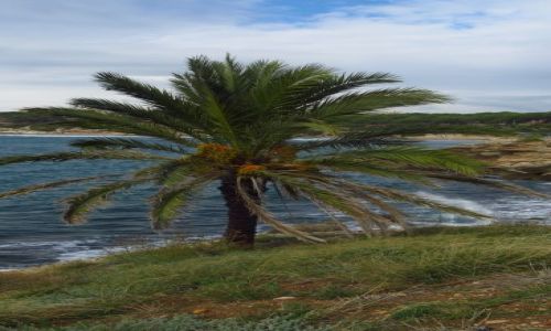 Zdjęcie HISZPANIA / Katalonia / okolice Tarragony / takie tam