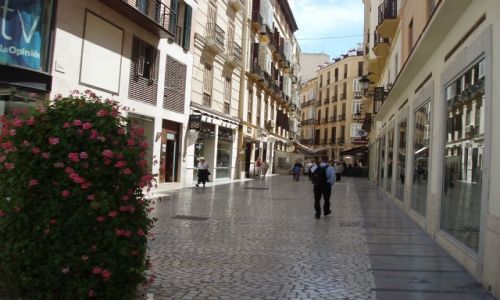 Zdjcie HISZPANIA / Poludnie Hiszpanii / miasto Malaga / Andaluzja-Malaga