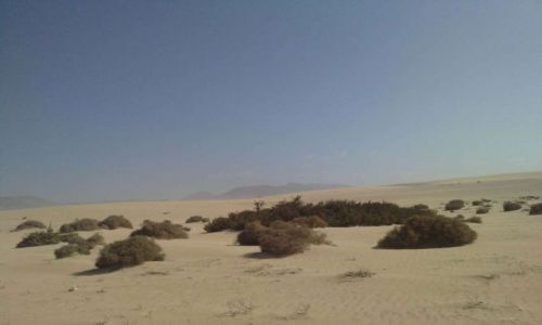 Zdjecie HISZPANIA / FUERTEVENTURA / La Oliva / To nie SAHARA