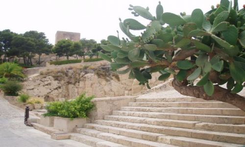 Zdjcie HISZPANIA / Srodkowo-Wschodnia Hiszpania / Zamek sw Barbary / Alicante