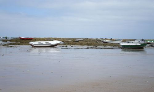 Zdjecie HISZPANIA / Isla Cristina / Isla Cristina / Mielizna