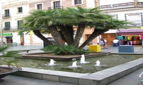 Zdjecie HISZPANIA / Costa del Maresme / Calella / ulice Calelli
