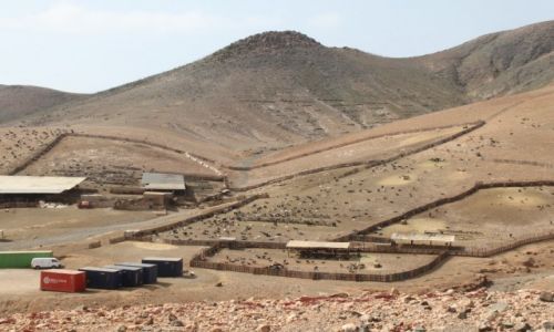Zdjecie HISZPANIA / - / Fuerteventura / Hodowla kz