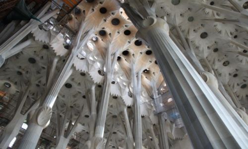 Zdjcie HISZPANIA / Barcelona / Sagrada Familia / Sklepienie 