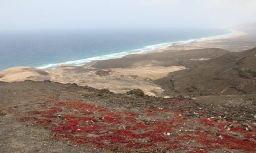 Zdjcie HISZPANIA / Fuerteventura / Cofete / Odludzie