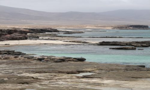 Zdjęcie HISZPANIA / Fuerteventura / Punta Paserbe / Widoczek...