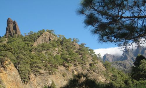 Zdjecie HISZPANIA / La Palma / Parque nacional de la Caldera de Taburiente / Gry- moja mio