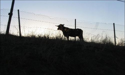 Zdjęcie HISZPANIA / Andaluzja / La Linea / Obserwacje autostopowicza