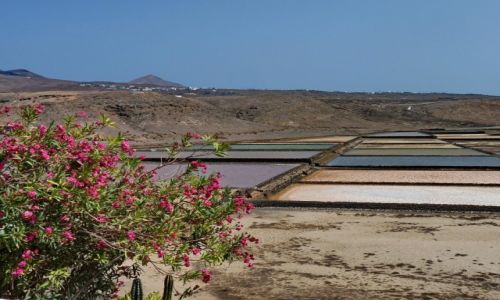 Zdjecie HISZPANIA / Lanzarote / Lanzarote / Odsalarnie