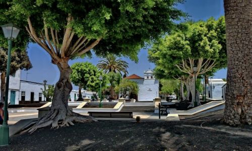 Zdjcie HISZPANIA / Lanzarote / Yaiza / Park w Yaiza
