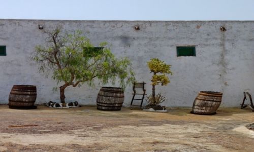 Zdjcie HISZPANIA / Lanzarote / La Geria / Pueblo