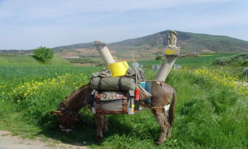 Zdjęcie HISZPANIA / La Roja / w drodze do Tosantos / ..camino