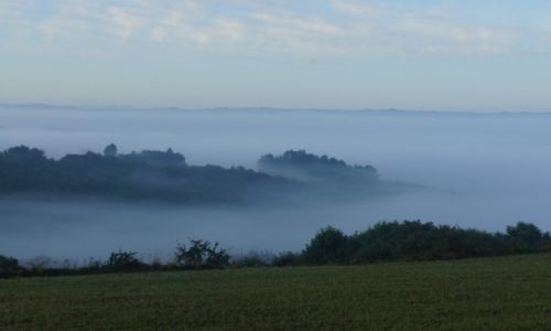 Zdjcie HISZPANIA / Galicja / Camino de Santiago / Poranne mgy