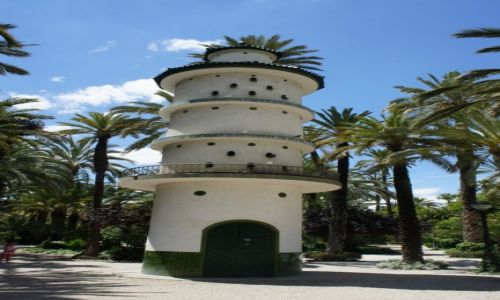 Zdjcie HISZPANIA / Alicante / Elche / Gobnik w parku