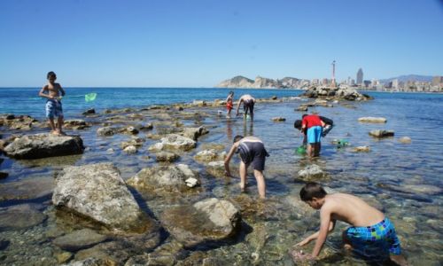 Zdjcie HISZPANIA / Alicante / Benidorm / Modzi poawiacze