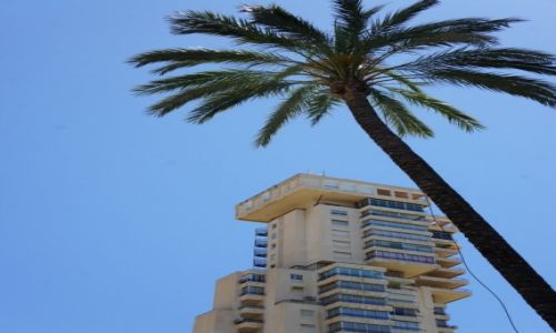 Zdjcie HISZPANIA / Alicante / Benidorm / Palmy gr