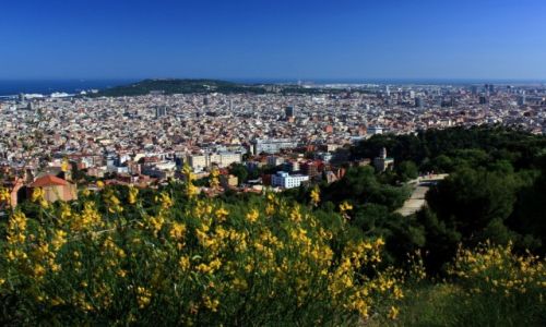 Zdjecie HISZPANIA / Katalonia / Barcelona / Barcelona
