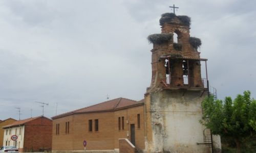 Zdjecie HISZPANIA / Leon / San Miguel del Camino / Bocianie osiedle