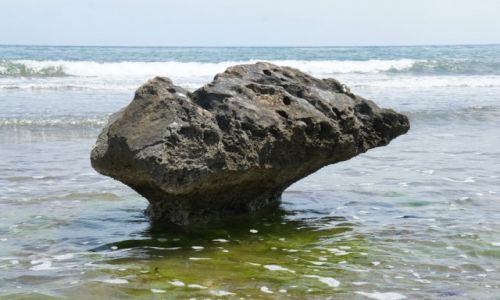 Zdjęcie HISZPANIA / Costa Blanca / Santa Pola / Ptasia skałka