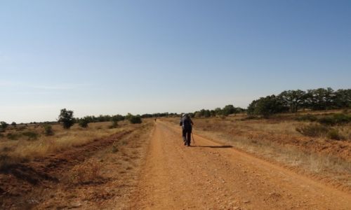 Zdjęcie HISZPANIA / Leon / Leon / Między Leon a Santiago