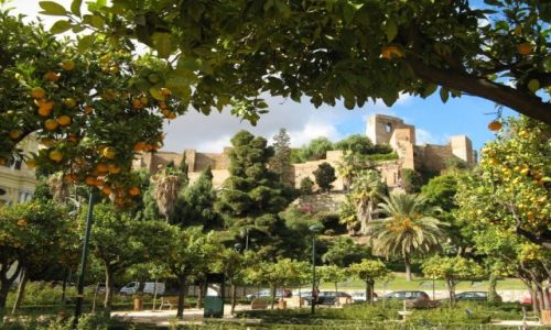 Zdjecie HISZPANIA / Andaluzja / MALAGA / Zapach pomaranczy