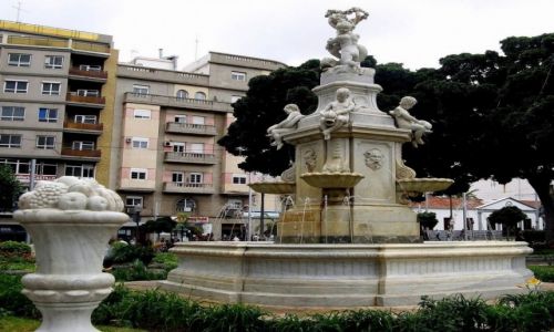 Zdjcie HISZPANIA / Wyspy Kanaryjskie / Santa Cruz de Tenerife / Tu serce mozna zgubic.
