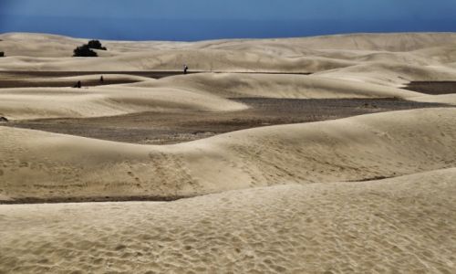 Zdjcie HISZPANIA / Gran Canaria / Maspalomas / Wydmy