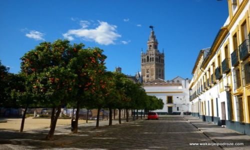 Zdjcie HISZPANIA / Andaluzja / - / Sewilla