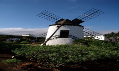 Zdj�cie HISZPANIA / Wyspy Kanaryjskie / Molino de Antiqua / wiatrak