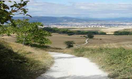 HISZPANIA / Navarra / Uterga / Camino