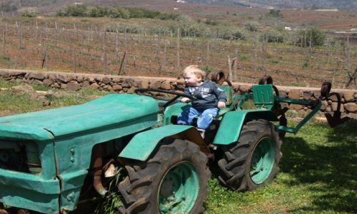 Zdjęcie HISZPANIA / Teneryfa / gospodarstwo przy drodze / Jadę na winnice