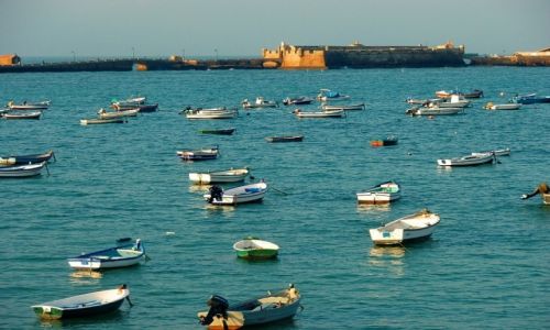 Zdjcie HISZPANIA / andaluzja / Cadiz / boats in port