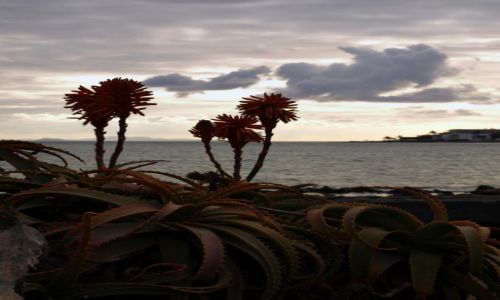 Zdjęcie HISZPANIA / Wyspy Kanaryjskie / Puerto del Carmen / noc prawie