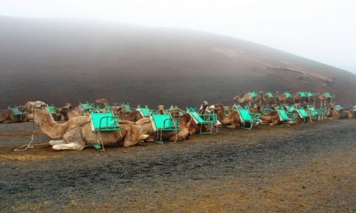 Zdjcie HISZPANIA / Lazarote / Yaiza / Caravan in fog